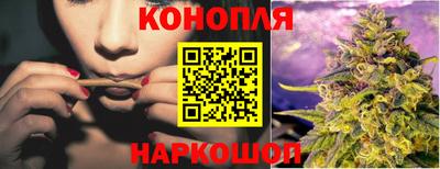 apvp Тулун