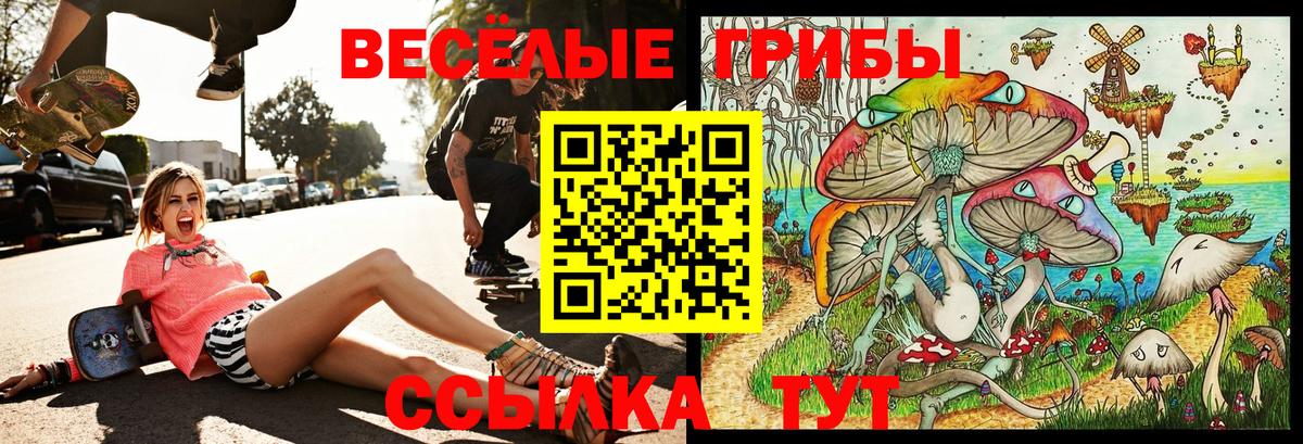 Псилоцибиновые грибы Magic Shrooms Волхов