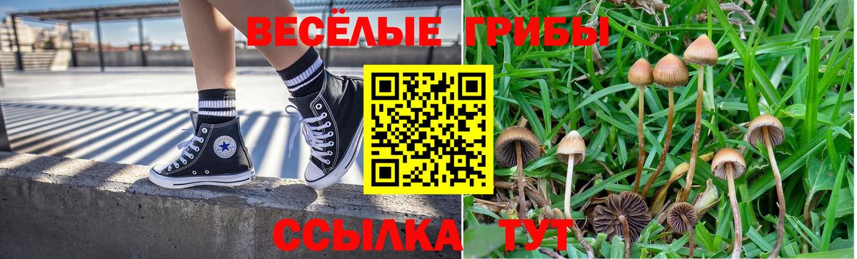 хочу   Псилоцибиновые грибы мицелий  Псилоцибиновые грибы Cubensis  Вход с VPN  Волхов 