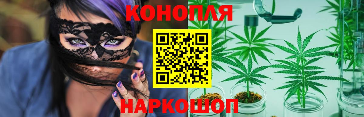 Волхов  Бошки марихуана семена  Вход с VPN  Бошки марихуана MAZAR 